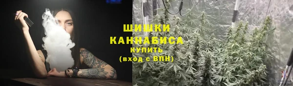 ПСИЛОЦИБИНОВЫЕ ГРИБЫ Балахна